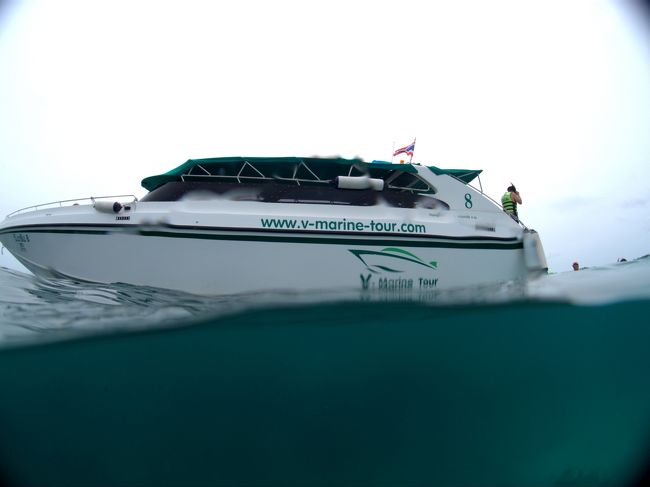 最初のスノーケリングポイント。<br />一口にピピ島と言っても色々なポイントがあるようでここはどこなんでしょう^_^;<br /><br />おそらくピピドン島の何処かだと思うのですが。。。