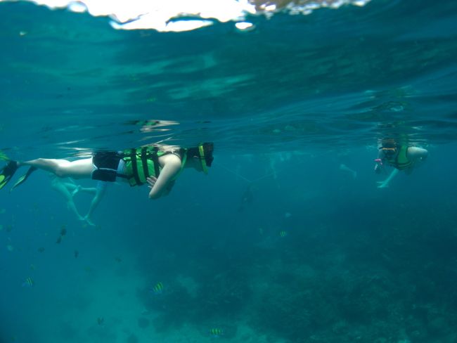 こちらは透明度よく、