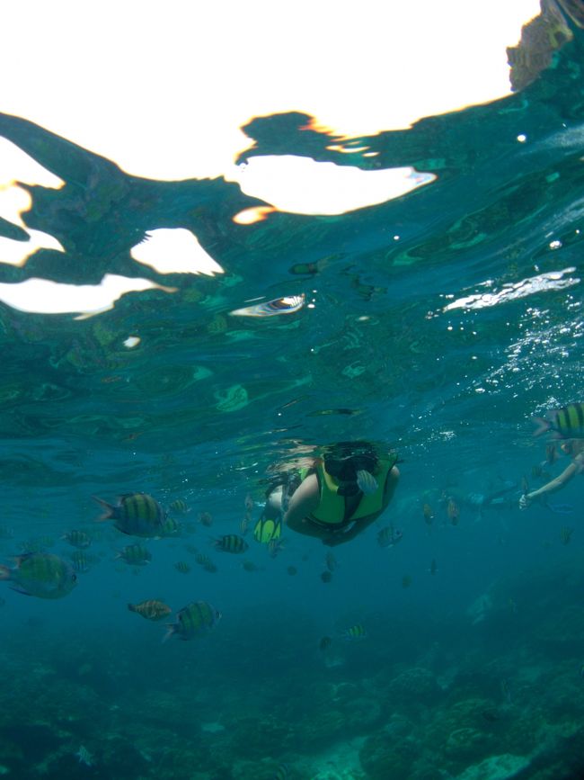 戯れます。<br /><br />