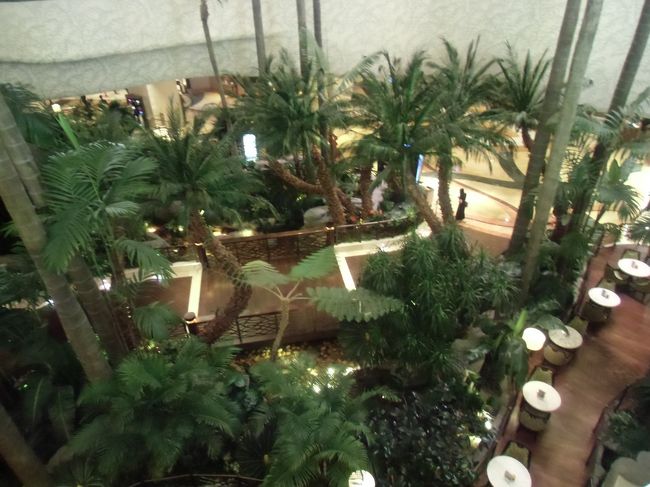 この後部屋に戻って一眠り。<br />17時半のカクテルタイムにまたまたラウンジへ。<br /><br />まったりしてたらものすごい雨が降ってきた