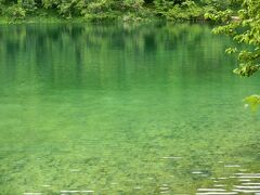 ガロヴァツ湖。
木道に近い部分は湖の底が透けて見えます。