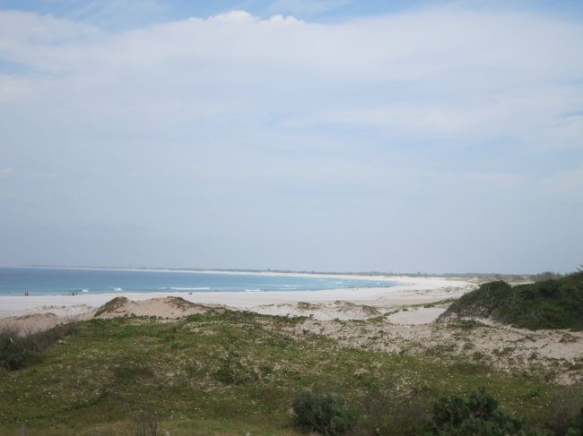 そしてこの辺りまで来ると、「白い砂漠」みたいな感じで、砂丘が拡がっています。