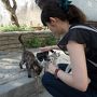 ねこ旅・トルコ旅行<イスタンブール>5日目