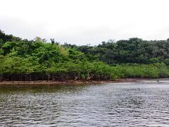 ９時３０分ごろに西表島に到着。
到着後５分後位に仲間川クルーズのボートが出港との事だったので急いでお手洗いへ行きました(笑)
ちょっと遅れての出港です。
全部で２０名ほど乗船したかな？
他のボートに比べとても余裕がありました。