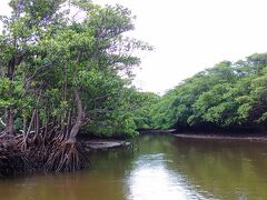 パンフレットで見たような景色が広がります。
マングローブは見慣れたもんですが、川からの景色は初めてでした。