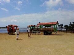 バスを降り今度は由布島観光です。
調べたところによりますと由布島へは徒歩でも行けるようです。
ただ歩いてる方は一人もいらっしゃいませんでした。
ちなみに水牛往復で１，４００円、徒歩だと６００円でした。