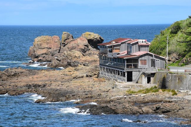 紺碧の海と夏の花が美しい種差海岸−前編（青森県八戸市）』八戸