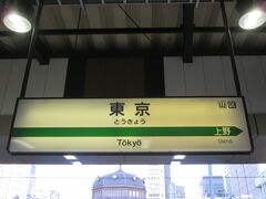 横浜駅から25分ほどで東京駅に着きました。