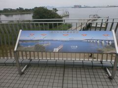 琵琶湖大橋を渡って到着