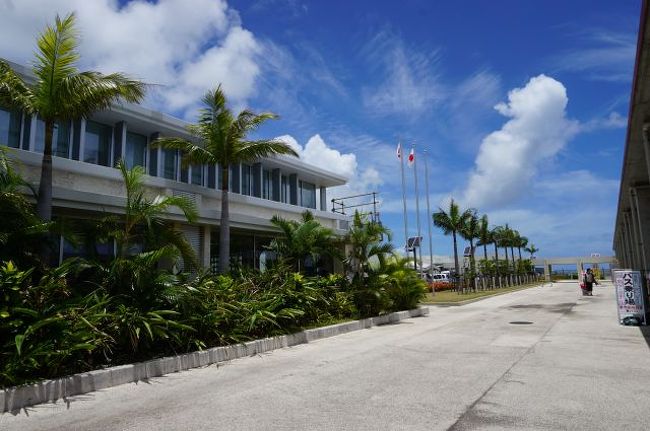 空港を降り立つと そこは南国！