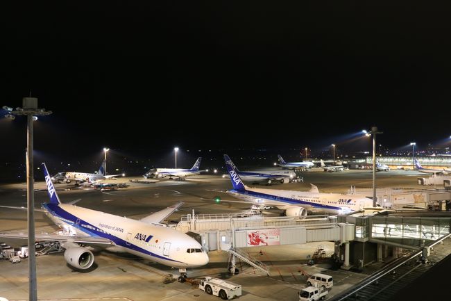 無事、羽田へ到着。<br />夜景を楽しんでから、羽田を後にしました。