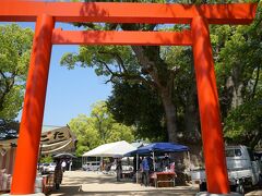 神戸の神社に参拝することとしました。まずは長田神社です。鎮座1,800年を迎える古社で、生田神社・湊川神社とともに神戸を代表する神社の一つです。