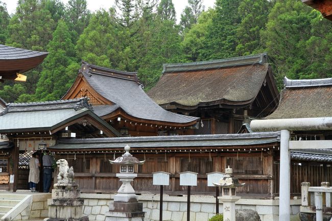 石山寺で三十三年毎にご開帳される秘仏の本尊如意輪観世音菩薩を拝観。その後国宝指定の三つの神社、（苗村神社、大笹原神社、御上神社）を参拝しました。