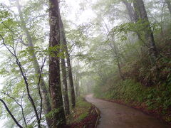 雰囲気は満点です。