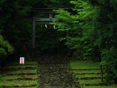 7月9日　14：00　平泉寺白山神社/精進坂 一の鳥居

苔の美しい参道が見たくて雨上がりに。

境内は白山国立公園特別指定区域で国の史跡。
「美しい日本の歴史的風土100選」「かおり風景100選」


拝観料　無料
駐車場　無料