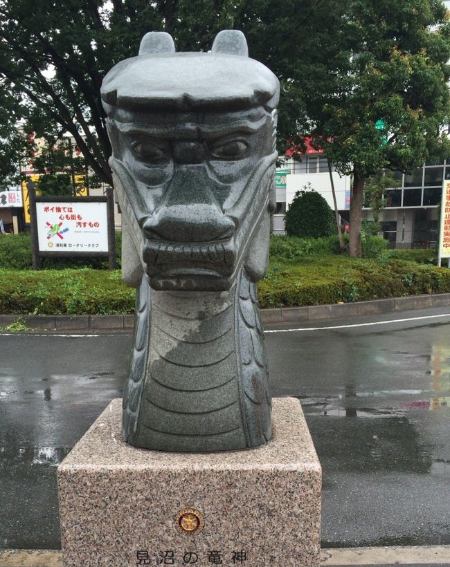 【中古】 見沼田んぼの景観学 龍のいる原風景の保全・再生/古今書院/宇杉和夫 宇杉和夫の本おすすめランキング一覧｜作品別の感想・レビュー