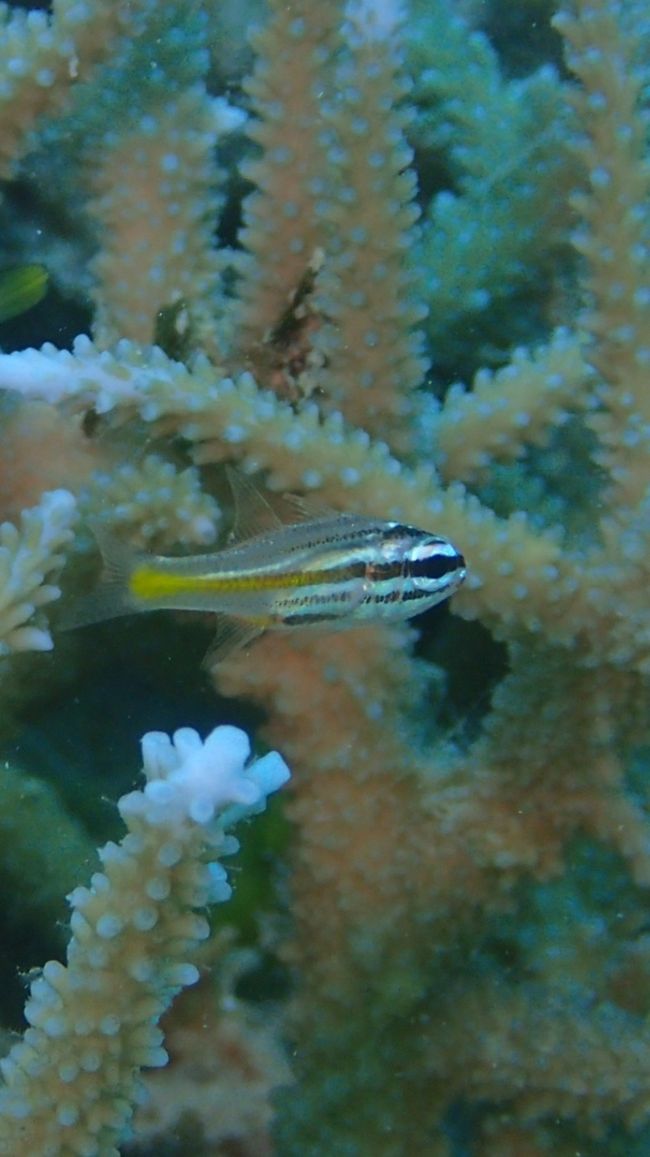 大泣き <br />この時点でハウジング内に徐々に水が 焦<br /><br />水没です 