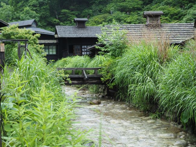 ほんとうに長閑。<br />都会の喧騒のけの字もありません。