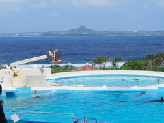 今回も美ら海水族館のオキちゃん劇場にまいりました。
毎回毎回入場料を払わず見ることができて申し訳ありません。
GW中のせいかとても混んでいました。