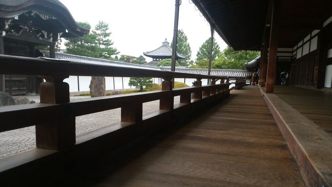 南庭<br /><br />廊下