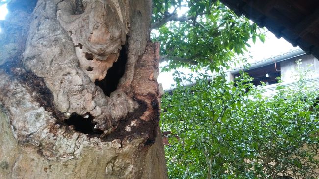 顔みたい( ´艸｀)