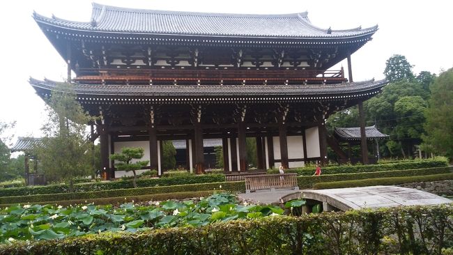 外国の方が多かったのですが、門の前にいらっしゃるのわかりますか？？<br /><br />和洋折衷？<br />なんか良かったです(*´▽｀*)