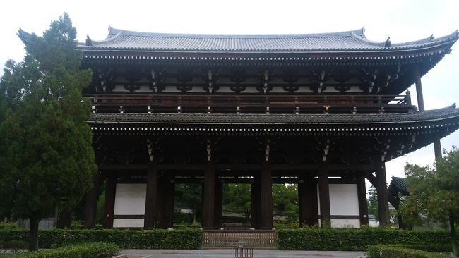 まだまだ見たかったですが、来るのが遅かったので、もう帰らなくては。。