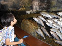 さかな公園・富士湧水の里水族館