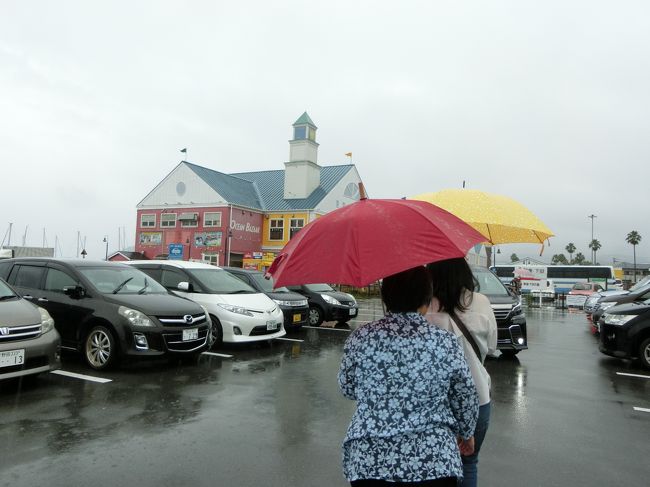 土砂降りの中、伊東のマリンタウンへ。<br />市内に美味しいお魚を食べさせてくれるお目当てのお店がったのですが、駐車場から歩くのでこの天候では無理！<br />諦めて伊東のマリンタウン内でお昼にします。