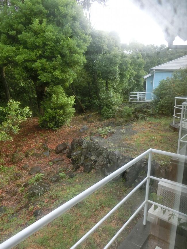 雨やまないかな〜