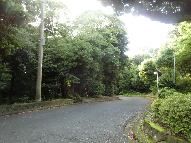 義母と二人で朝食前にルネッサ赤沢内を散歩です。<br />家内は寝てます。