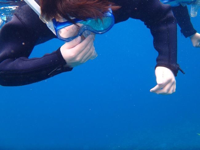 よしっもうちょっと泳ぐかー！<br />っとしているうちに、ダイビングチームが帰って来ました。<br /><br />良かった〜(^_^;)