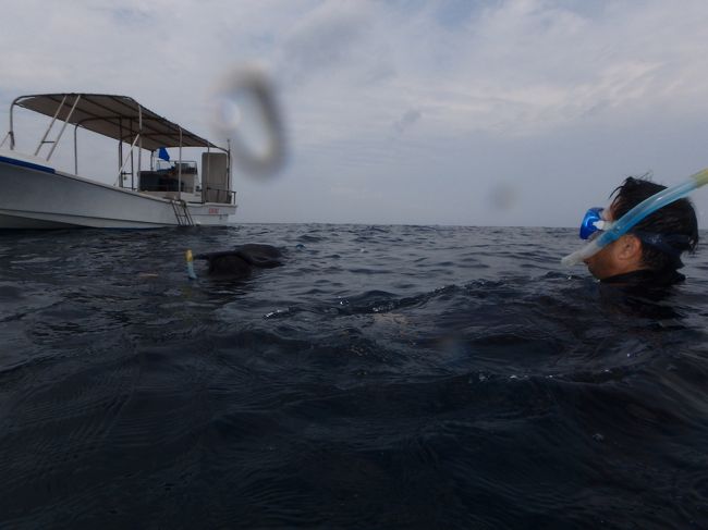 ああ、ボートに着いたぁ<br />この頃には寒くて波がしんどくて、早くボートに帰りたかったけど<br />ダイビングの人たちを、船酔いしながら待つか、このまま待つかって状況でした。<br />