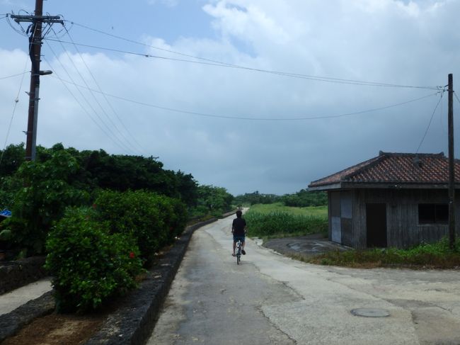 数分で雨はやみ、逆に太陽が照りつけてきました！