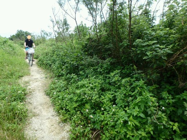 私の方向音痴のせいで、草と虫のすごい道をサイクリングすることに(笑)