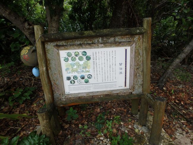 コンドイビーチを目指していたんだけど、カイジ浜に着いたみたい