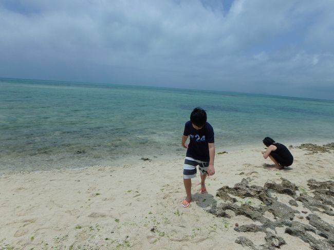 わーーー<br />曇っているけど<br />きれいだああ