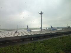羽田空港はかなりの雨