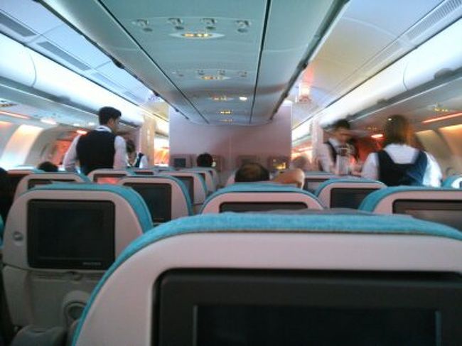 機内は空港テロの影響でしょうか？。ガラガラです。4列シートを一人占めできます。肘掛を上げて眠ることができました。<br />ターキッシュエアは、低価格でヨーロッパ各地への乗り継ぎもよく、日本のツアーでもよく利用されるキャリアですが、テロの影響なのでしょうか。団体客がみられませんでした。