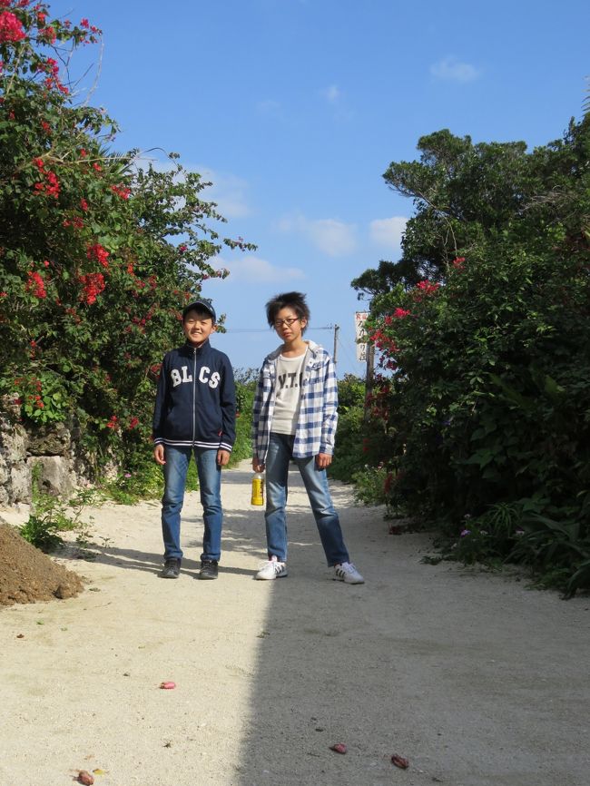 もうそろそろ、竹富島とお別れ。　<br />二人は、自転車が楽しかったらしく　名残惜しそうです。