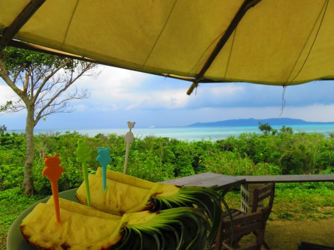 パイン、めっちゃ甘かったです。