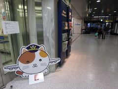 おぉ、ただいまティーキャットちゃん！

無事に帰ったよ (^_^)