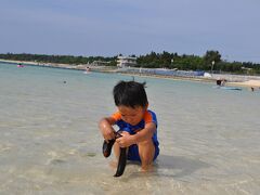 こちらはエメラルドビーチ。
本島でも美しいと言われるビーチの１つです。

海洋博公園の北の端にあり、美ら海水族館から歩いていくことができます。
ただ、結構距離はあるので、車は停めなおした方がよいでしょう。


ホテルのビーチと違い、魚や海の生き物たちがたくさんいます。
ナマコをゲットしましたよ。