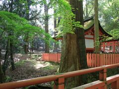 春日大社本殿をあとにして、東大寺へ向かいます。

途中にあった水谷神社。春日大社の広い敷地に点在する神社のひとつで、平安時代より病気平癒や子授けを祈願する人に親しまれているお社だそうです。
