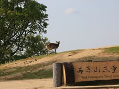奈良旅行の最後は若草山ドライブ
