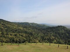 すぐ横には世界遺産の春日山原始林が広がっています。

春日山原始林は春日大社の神山として古来より伐採や狩猟が禁じられていた手つかずの山だそうです。