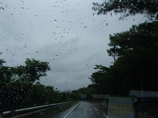 行き先変更、フルーツランドに、マンゴースィーツを食べに<br /><br />カーナビでは途中までした行けない(ーー゛)