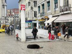 この辺りはとても賑やかな一帯、地下鉄のロシオ駅がすぐ近く。

この塊！は犬ちゃんです。お耳にタグ付きです。ノラなのかどうか不明でした。思い返したらワンちゃんとの遭遇は少なかったです。