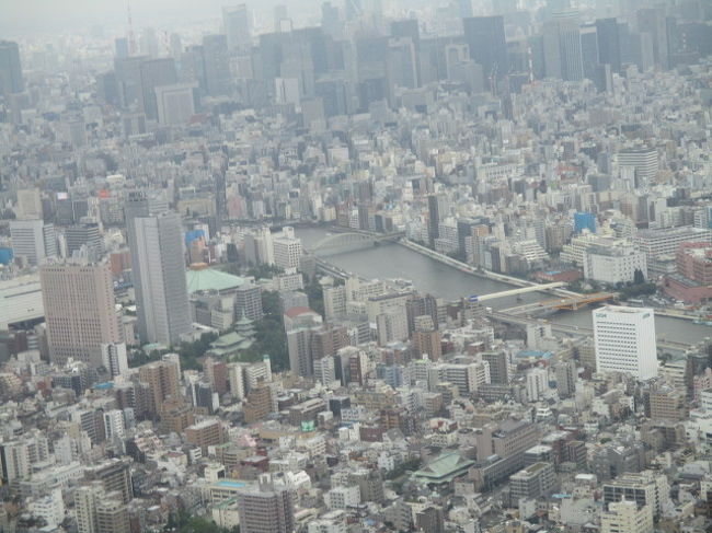 雨の日のスカイツリーは634でvip気分 Sky Restaurant 634 Musashi 浅草 東京 の旅行記 ブログ By Wakupaku2さん フォートラベル