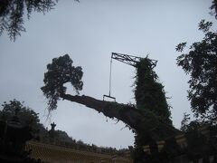 李広墓を後にして南郭寺に向かった。路線バスに乗ったが１駅早く降りてしまい、そこから歩いた。南郭寺の入口から２０分ほど山を登りお寺に到着した。あいにく天気が悪いため見晴らしが良くない。残念である。天気が良ければまた違った風景が見れたと思うのだが。山を下りて路線バスに乗って宿にもどろうとした。途中から宿とは反対方向にバスが走り出した。まあいいかと思っていると終点になり乗客が全員バスから降りた。私も降りて散歩しながら歩いて宿まで戻った。